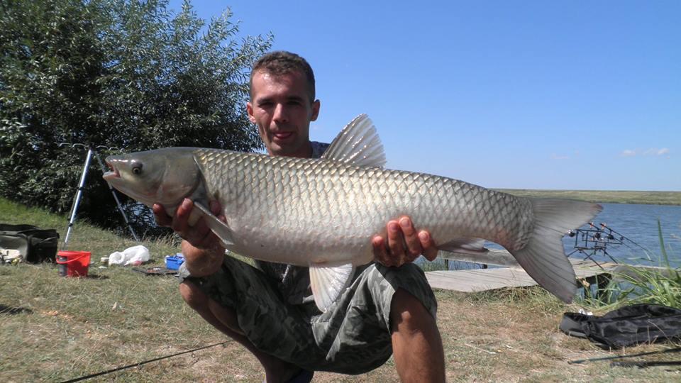 Best Off - 14778975838924716638422136805627n.jpg